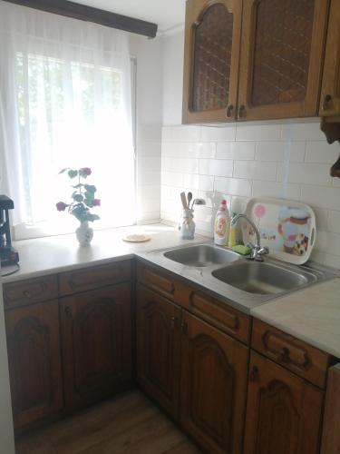 a kitchen with wooden cabinets and a sink and a window at Ikerdió faházikó in Szarvas