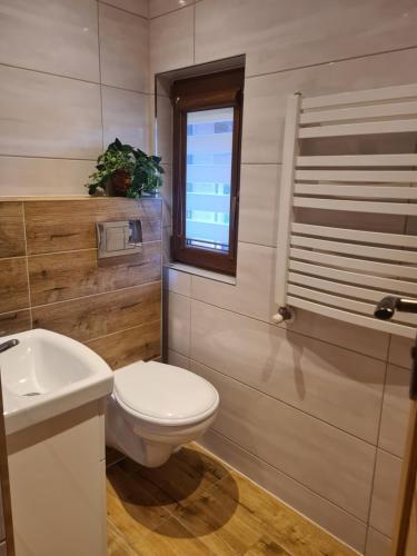 a bathroom with a toilet and a sink and a window at Apartamenty U Samków in Zakopane