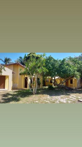a house with a tree in front of it at Pousada e Camping Solar de Itaunas in Itaúnas