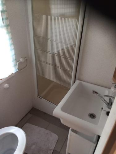 ein Bad mit einem Waschbecken, einem WC und einer Dusche in der Unterkunft Mobilní dům Venda in Hradišťko