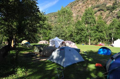 un grupo de tiendas de campaña y sombrillas en un campo en Camping Noguera Pallaresa, en Sort