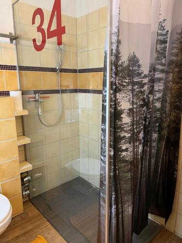 a shower with a glass door in a bathroom at Wohnen auf Zeit In Bendorf in Bendorf