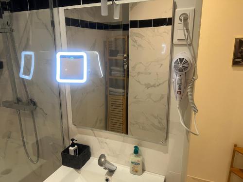 a bathroom with a shower and a sink with a blow dryer at Charmante maison de ville in Bléneau