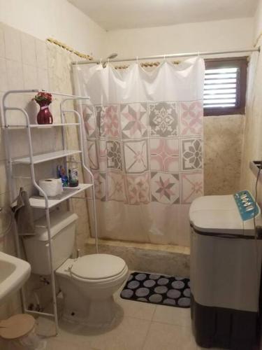 a bathroom with a toilet and a shower at Las Pascualas Beach in La Pascuala