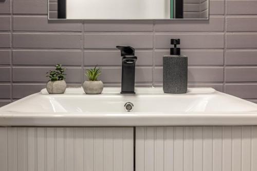 イラクリオン・タウンにあるMaricool Minimal Spacious Downtown Loftの洗面台(蛇口、植物2本付)