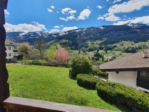 vistas a un patio con montañas al fondo en Casa Paolina - Alpine Stay Apartments, en Tesero