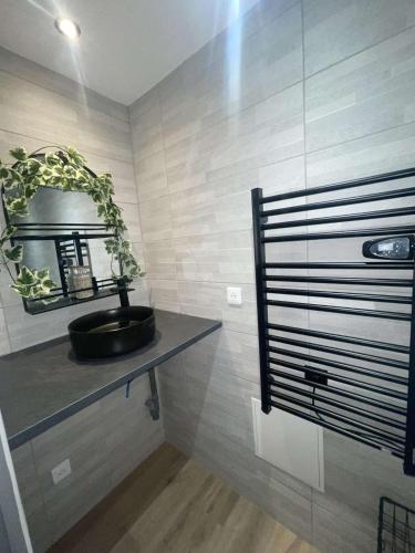 une salle de bains avec une plante assise sur une étagère dans l'établissement Jiovanni, à Rieux-Minervois