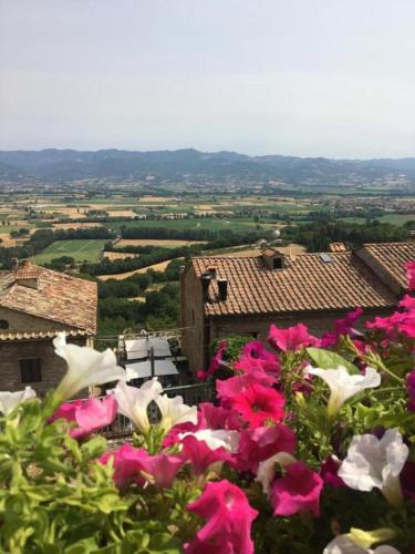 a bunch of pink and white flowers in front of buildings at Casa Belvedere in Citerna