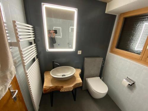 a bathroom with a toilet and a sink and a mirror at The Raven B&B in Ayer