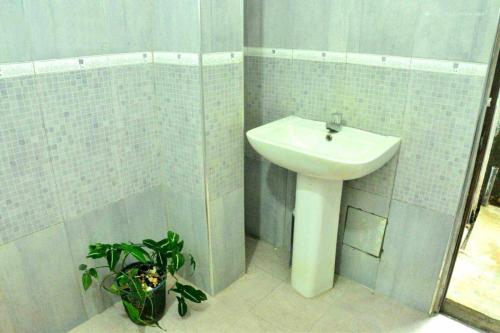 a bathroom with a sink and a potted plant at The Bunker in Badulla