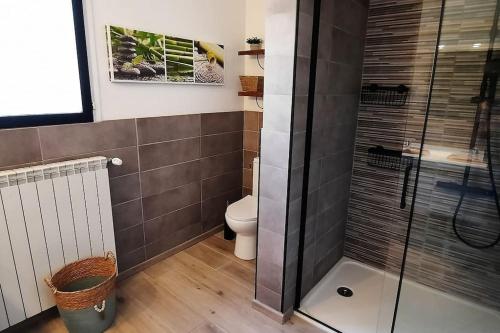 une salle de bain avec toilettes et douche en verre dans l'établissement Près des Arcs sur Argens belle villa avec piscine sur un demi hectare, à Draguignan