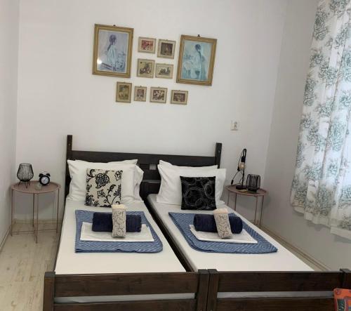 a bedroom with two beds with pillows on them at Casa Trandafirilor in Tulcea