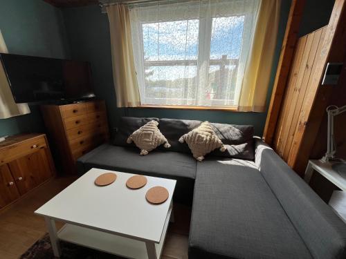 a living room with a couch and a table at A&R Kaszuby Natura Dom Wypoczynek in Gowidlino