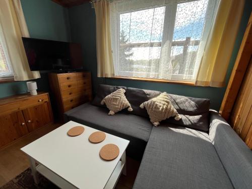 a living room with a couch and a table at A&R Kaszuby Natura Dom Wypoczynek in Gowidlino