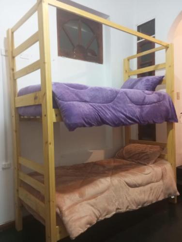Hostel Hornocal في سان سلفادور دي خوخوي: سرير بطابقين في غرفة مع سرير بطابقين أرجواني