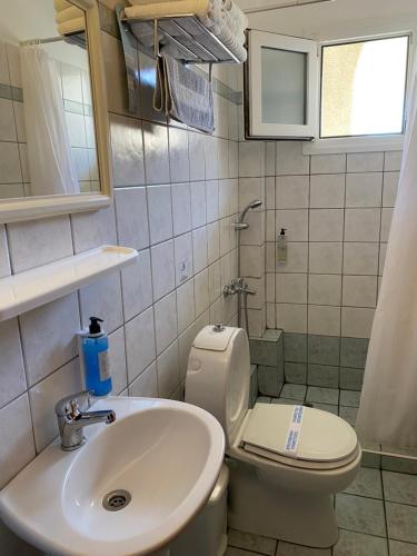 a small bathroom with a toilet and a sink at Korali Hotel in Paralia Katerinis