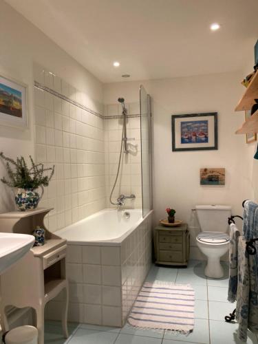 une salle de bain avec baignoire et toilettes dans l'établissement Apartment for adventures in Languedoc, à Cessenon