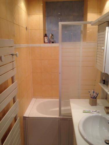 une salle de bain avec une baignoire et un lavabo dans l'établissement Chambre privative dans appartement sur Paris, à Paris