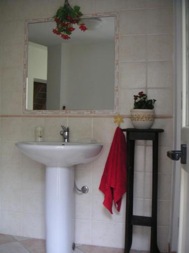a bathroom with a sink and a mirror at Traditional Sardinian house in San Vito