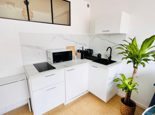 La cuisine est équipée de placards blancs, d'un évier et d'une plante. dans l'établissement 2 pièces, 8mn à pied de la croisette/plage, à Cannes