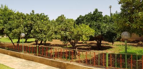een hek voor een veld met bomen bij VILLA PLAISANCE in Meknès