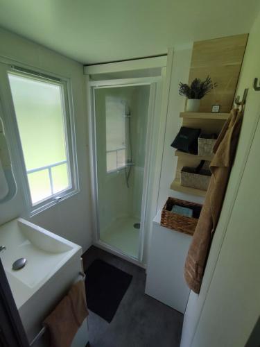 a bathroom with a shower and a sink and a window at Mobilheim Bukovina in Mnichovo Hradiště