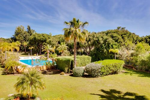a garden with a palm tree and a swimming pool at AL - Apartamento Vila Sol N in Vilamoura