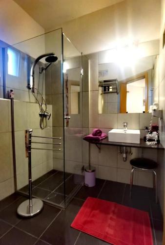 La salle de bains est pourvue d'une douche et d'un lavabo. dans l'établissement Lion Blue Point Hotel, à Tulln