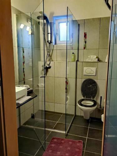 a bathroom with a toilet and a glass shower at Lion Blue Point Hotel in Tulln