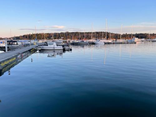 a group of boats docked at a dock in the water at Husbåt in Österhaninge