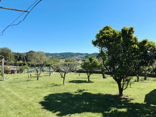 a field of grass with trees in it at Casa Sear-Bordóns in Sear