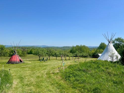 zwei Zelte auf einem Feld mit Bäumen im Hintergrund in der Unterkunft Romantic Wildlife Tipi Teepee Tomnatic Bihor Romania Apuseni in Tomnatic