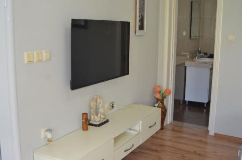 TV a/nebo společenská místnost v ubytování ADA's Guest House