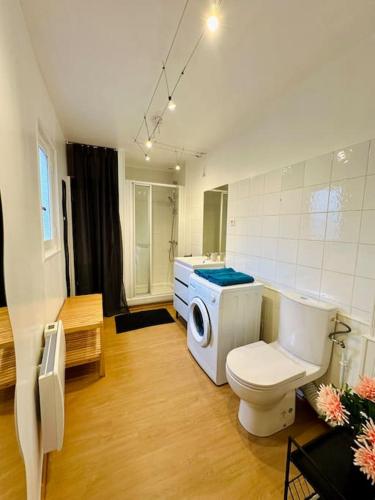 a bathroom with a toilet and a sink at Le clair de lune - hyper centre in Charleville-Mézières