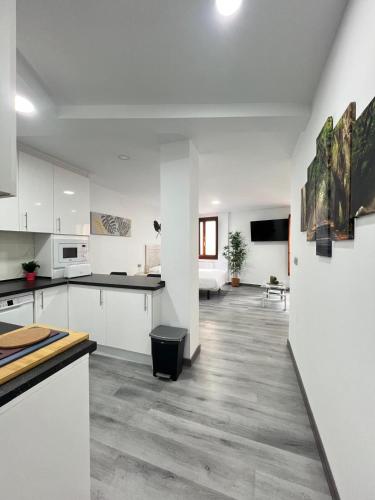 a large kitchen with white cabinets and a living room at Rosal Central Studios in Oviedo