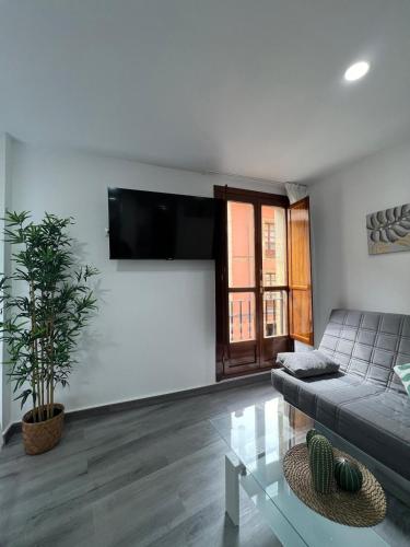a living room with a couch and a flat screen tv at Rosal Central Studios in Oviedo