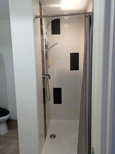 une douche avec une porte vitrée dans une salle de bain dans l'établissement Petite maison de ville, à Miramont-de-Guyenne