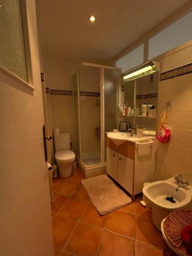 une salle de bain avec toilettes, lavabo et douche dans l'établissement T3 Ajaccio rte des Sanguinaires, à Ajaccio