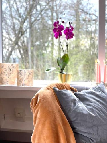 a vase with a purple flower in a window at La petite maison Durbuy in Durbuy
