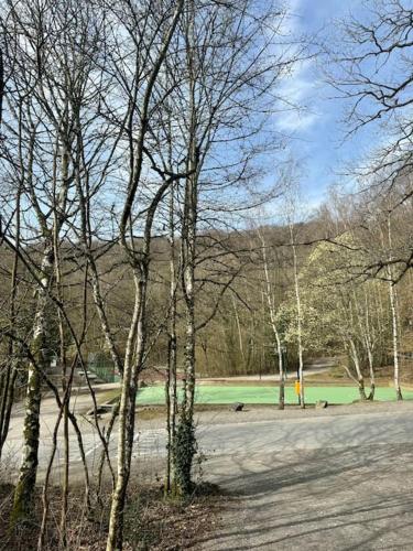 a group of trees in a park with a field at La petite maison Durbuy in Durbuy