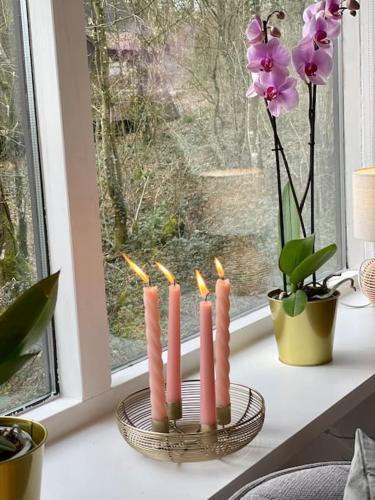 a candle holder on a window sill with pink candles at La petite maison Durbuy in Durbuy