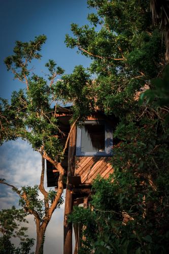 a tree house in the middle of some trees at Casa El Paraiso, Eco Lodge in Santa Bárbara de Samaná