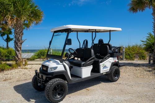 a golf cart parked next to a palm tree at Surfer's Dream, 4 King beds, 4 trundle beds, 6 full baths, pet-friendly with a rooftop deck! in Holmes Beach