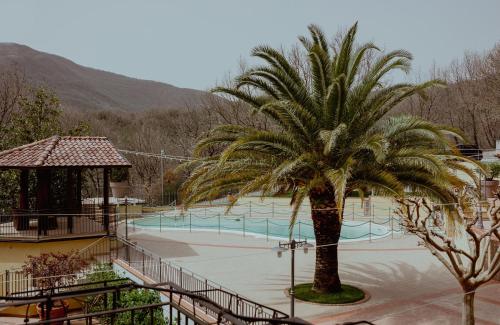 a palm tree in front of a swimming pool at San Raffaele Hotel Restaurant & Resort in Castelluccio Superiore
