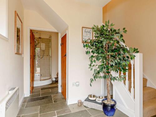um corredor com um vaso de árvore e uma escada em 1 Bed in Cullompton 79004 em Cullompton