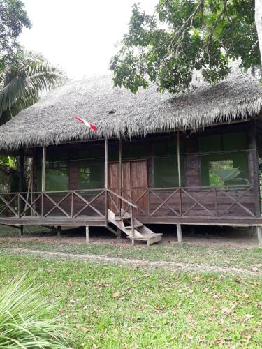 une cabane avec un toit de chaume et une pelouse dans l'établissement Pacaya Samiria Camping, 