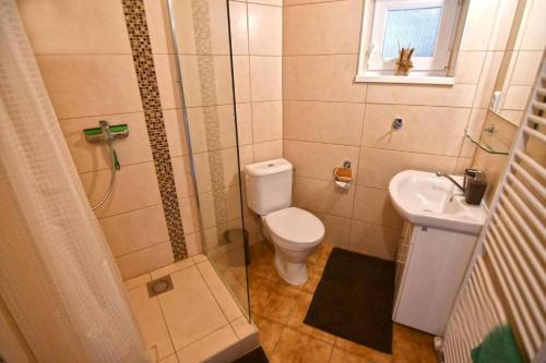 uma casa de banho com um chuveiro, um WC e um lavatório. em Apartmánový dom PRAMEŇ em Vinné