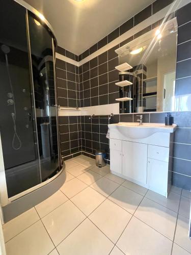 une salle de bain avec un lavabo et une douche dans l'établissement PARIS centre ville lumière Tour Eiffel, à Paris