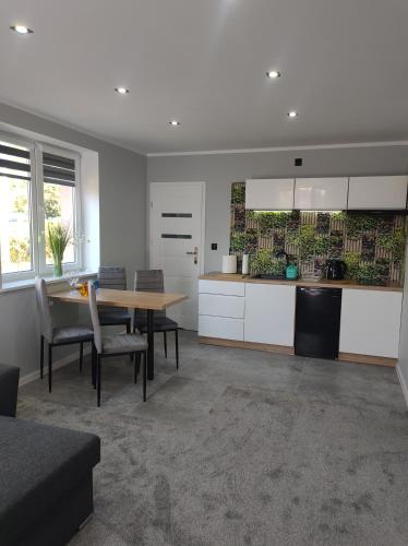 Kuchyňa alebo kuchynka v ubytovaní Apartament U Bosmana