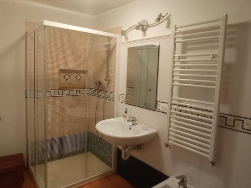 a white bathroom with a sink and a shower at La Ciasa Dell'Emigrante in Cibiana